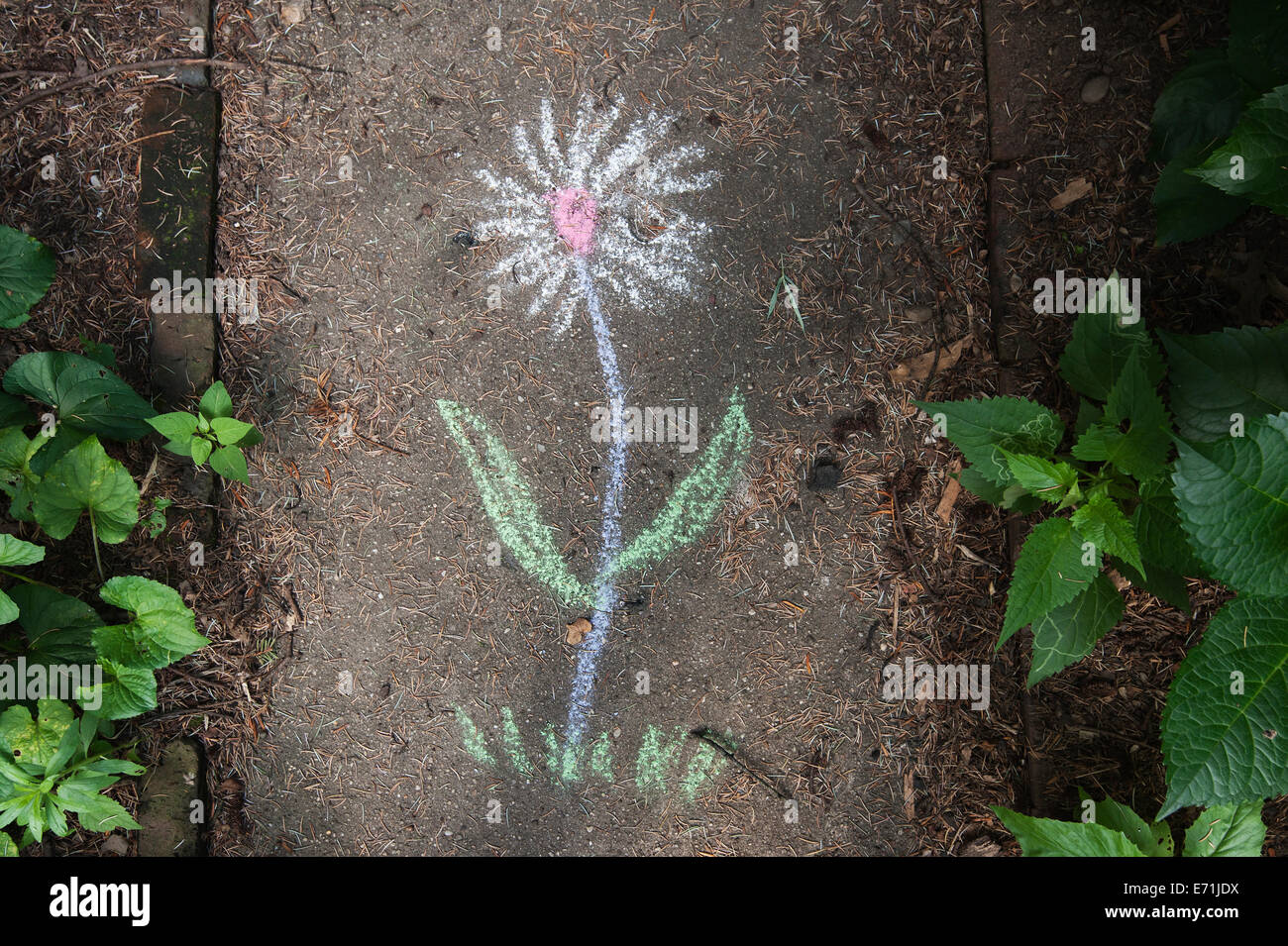 Whimsical chalk disegno sulla passerella di giardino Foto Stock