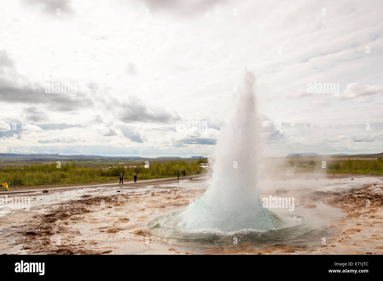 Strokkur geyser che erutta, Geysir hot springs area, Haukadalur area geotermica, a sud-ovest dell'Islanda Foto Stock