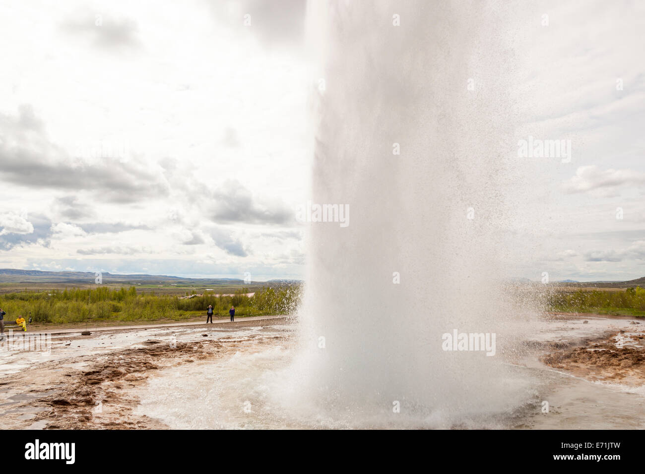 Strokkur geyser che erutta, Geysir hot springs area, Haukadalur area geotermica, a sud-ovest dell'Islanda Foto Stock