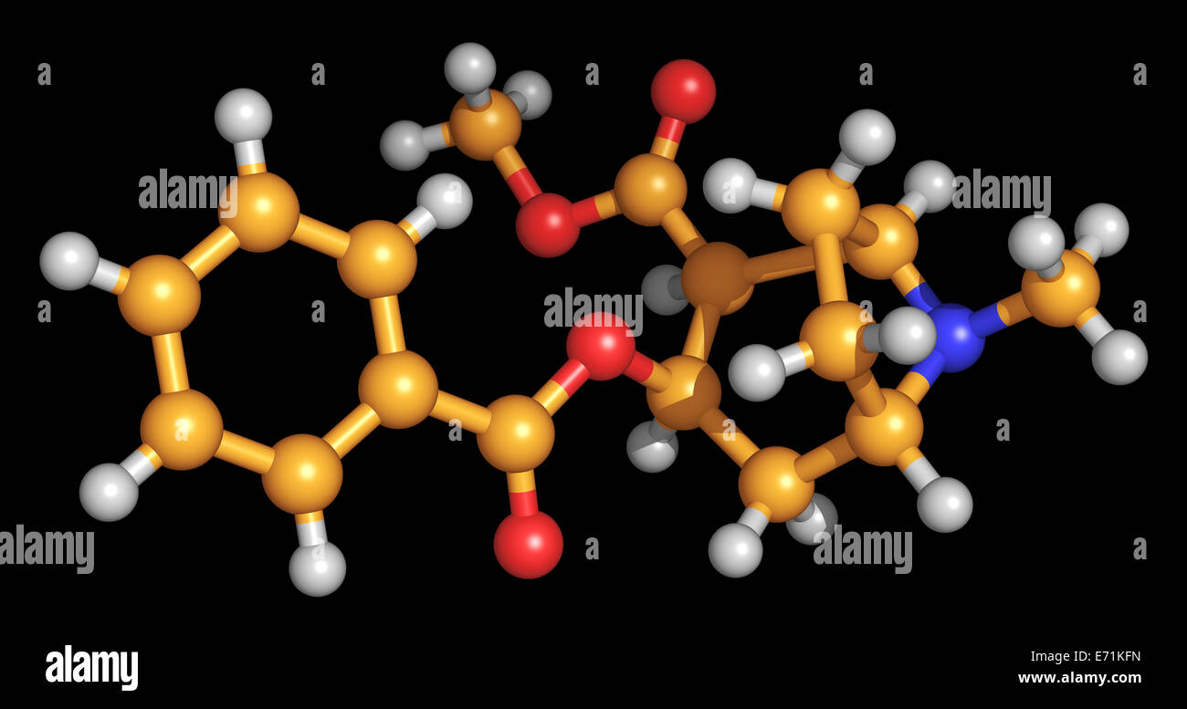 La cocaina (benzoylmethylecgonine) un ricreativo e di droga illegale, è ottenuto dalle foglie della pianta della coca. Foto Stock
