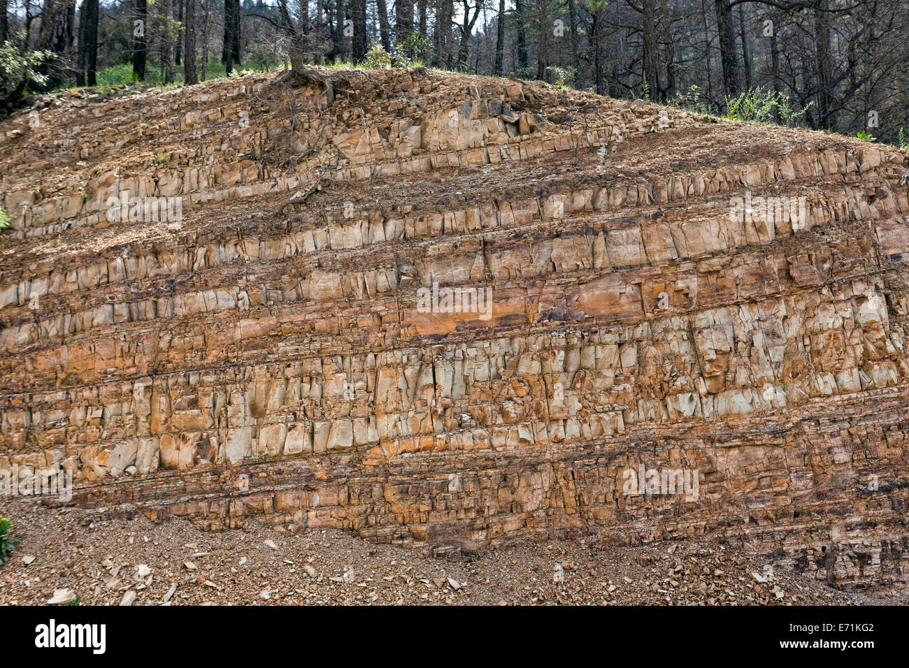 Stratificazione Delle Rocce Esposte Immagini E Fotografie Stock Ad Alta stratificazione-delle-rocce-esposte-immagini-e-fotografie-stock-ad-alta
