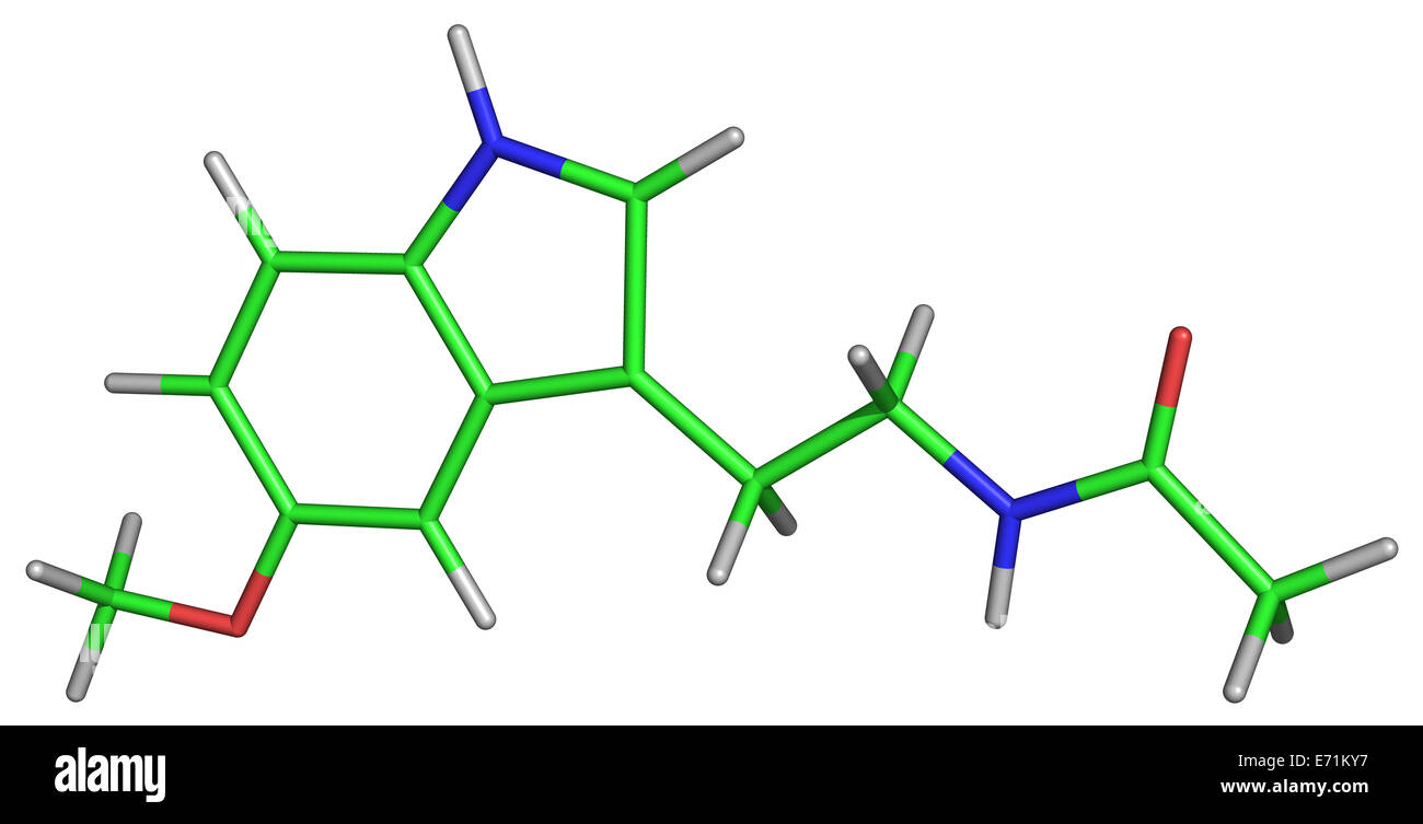 Molecola di melatonina : un ormone che regola i ritmi circadiani e diverse altre funzioni biologiche. Foto Stock