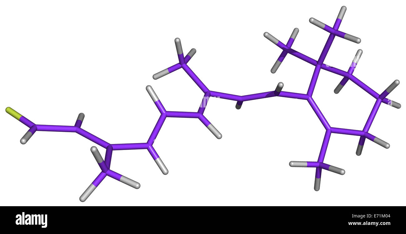 La vitamina A è necessaria per la produzione della rodopsina, il pigmento visivo utilizzato a livelli di luminosità bassi. Foto Stock