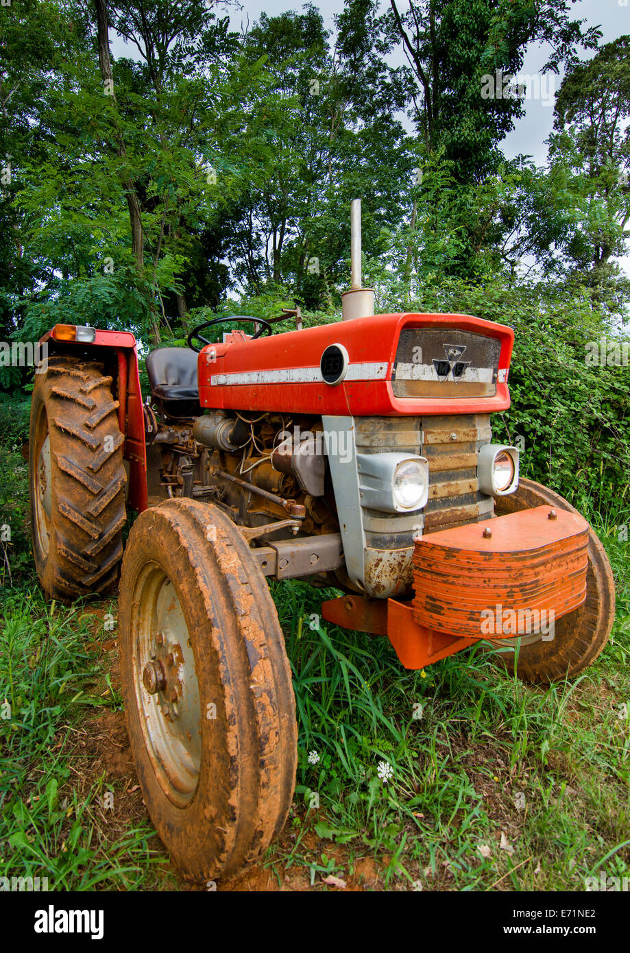 Trattore e Foresta Red Vintage Foto Stock