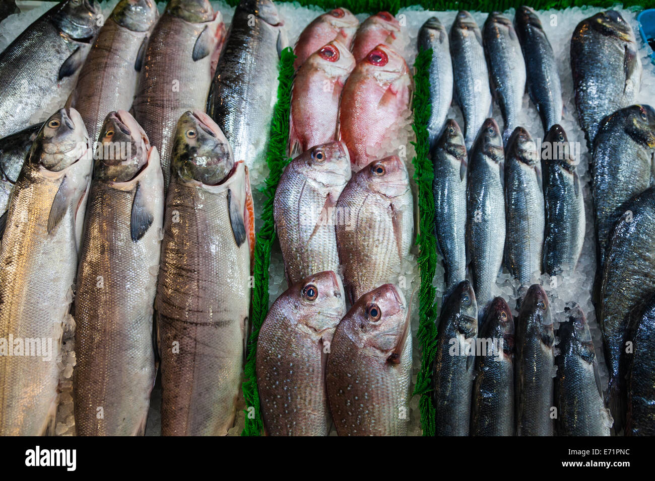 Selezione di pesce per la vendita a Granville Island market, Vancouver Foto Stock