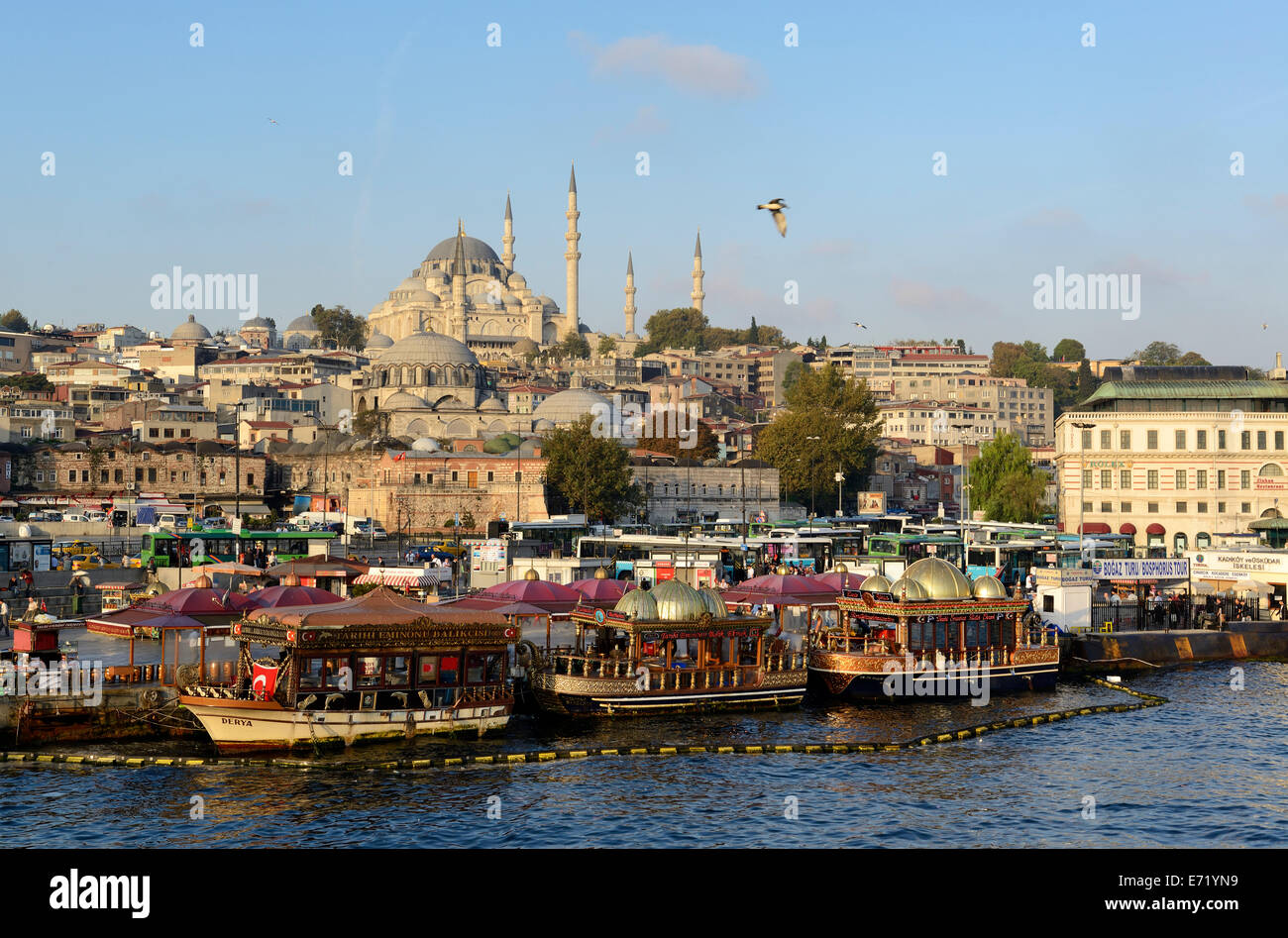 Vista attraverso il Golden Horn, la Moschea Süleymaniye sul retro, Eminönü District, lato europeo, Istanbul, Turchia Foto Stock