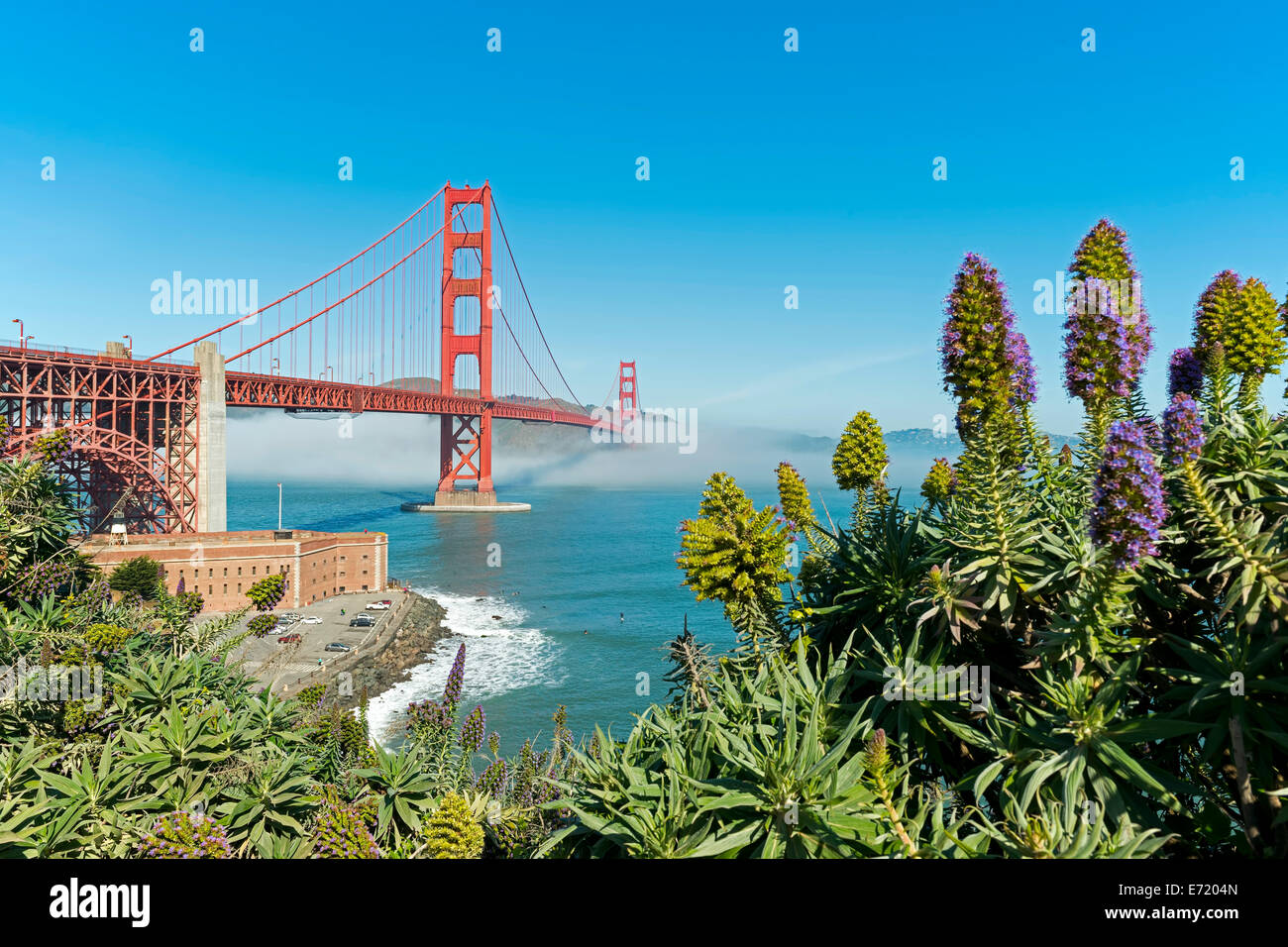 La lussureggiante vegetazione di fronte al Golden Gate Bridge di San Francisco, California Foto Stock