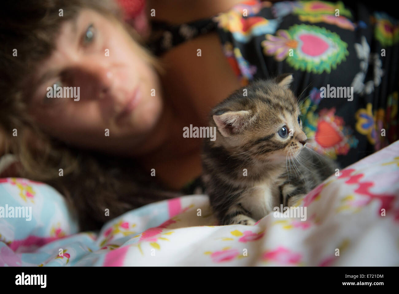 3 settimana fa i gattini Foto Stock