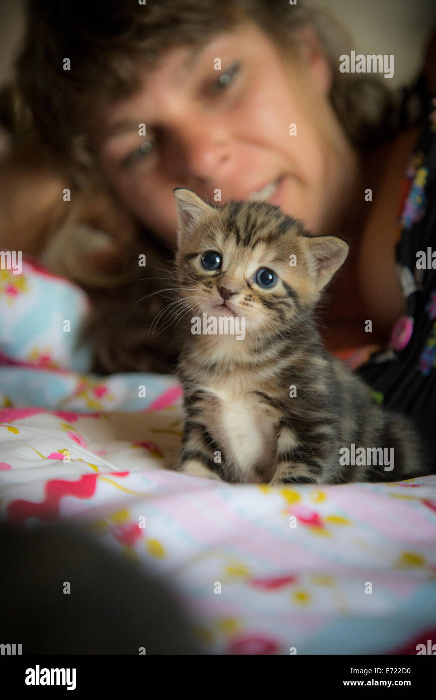 3 settimana fa i gattini Foto Stock