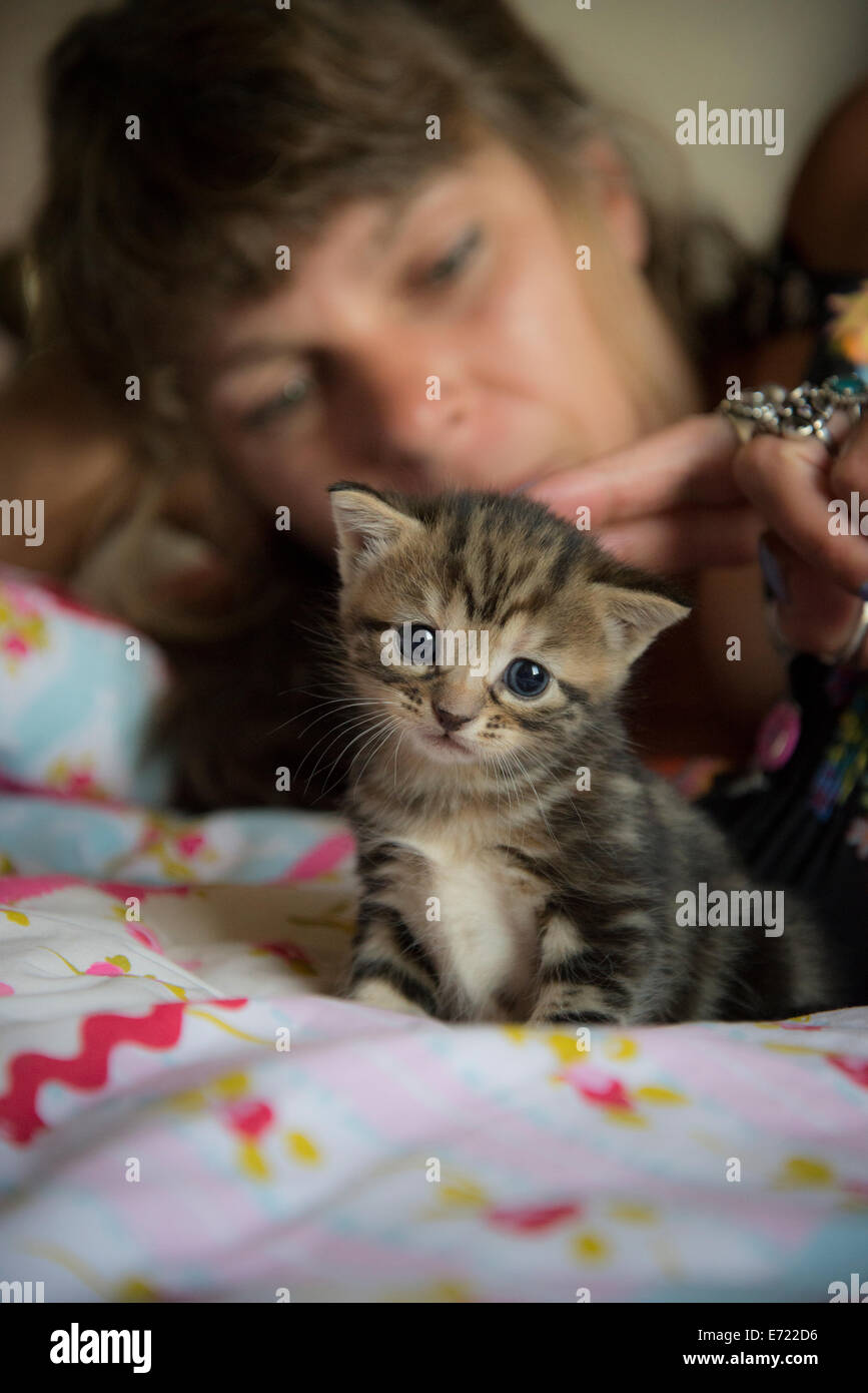 3 settimana fa i gattini Foto Stock