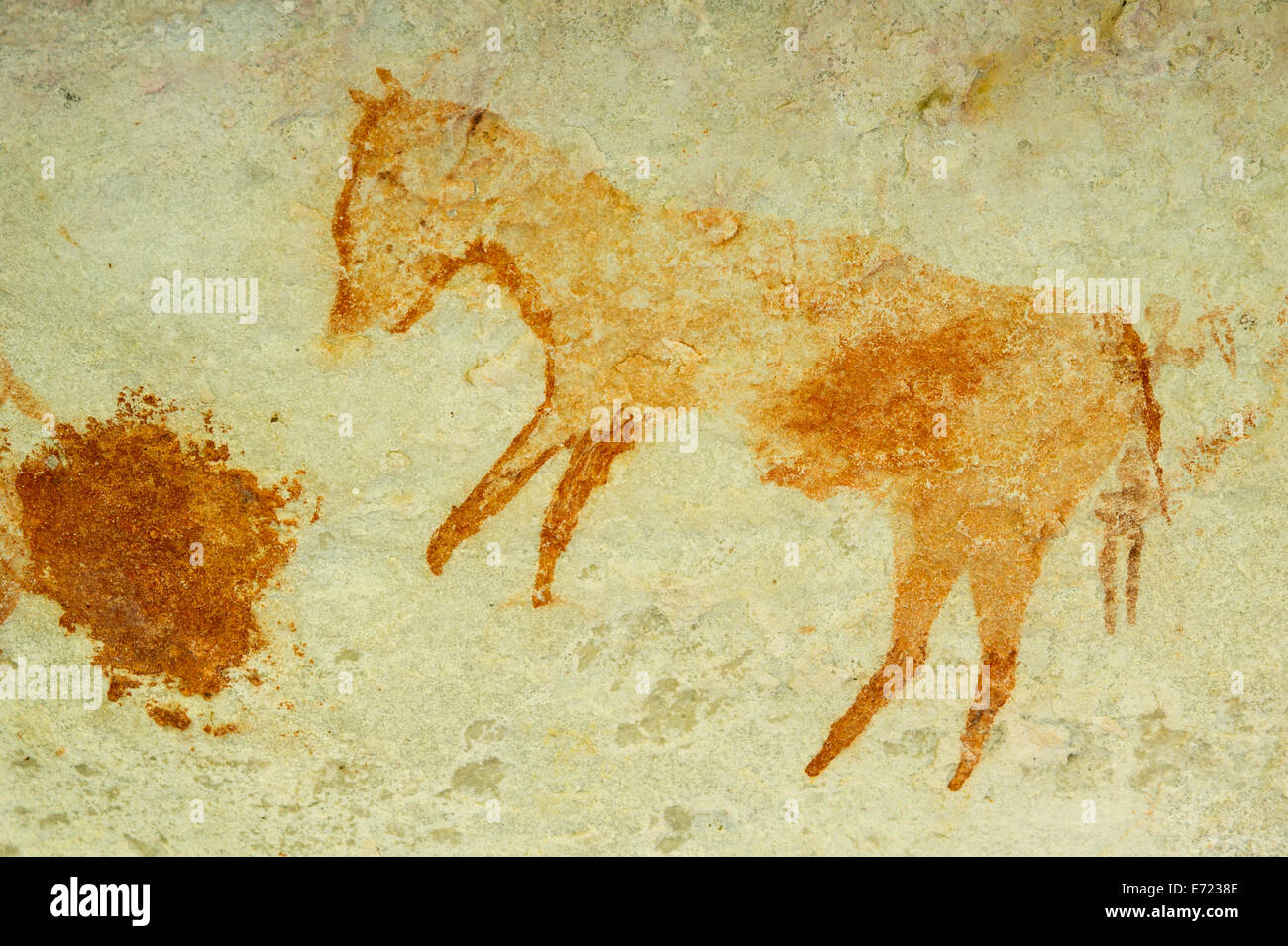 Sevilla Rock-art Trail, Cederberg Wilderness, Sud Africa Foto Stock