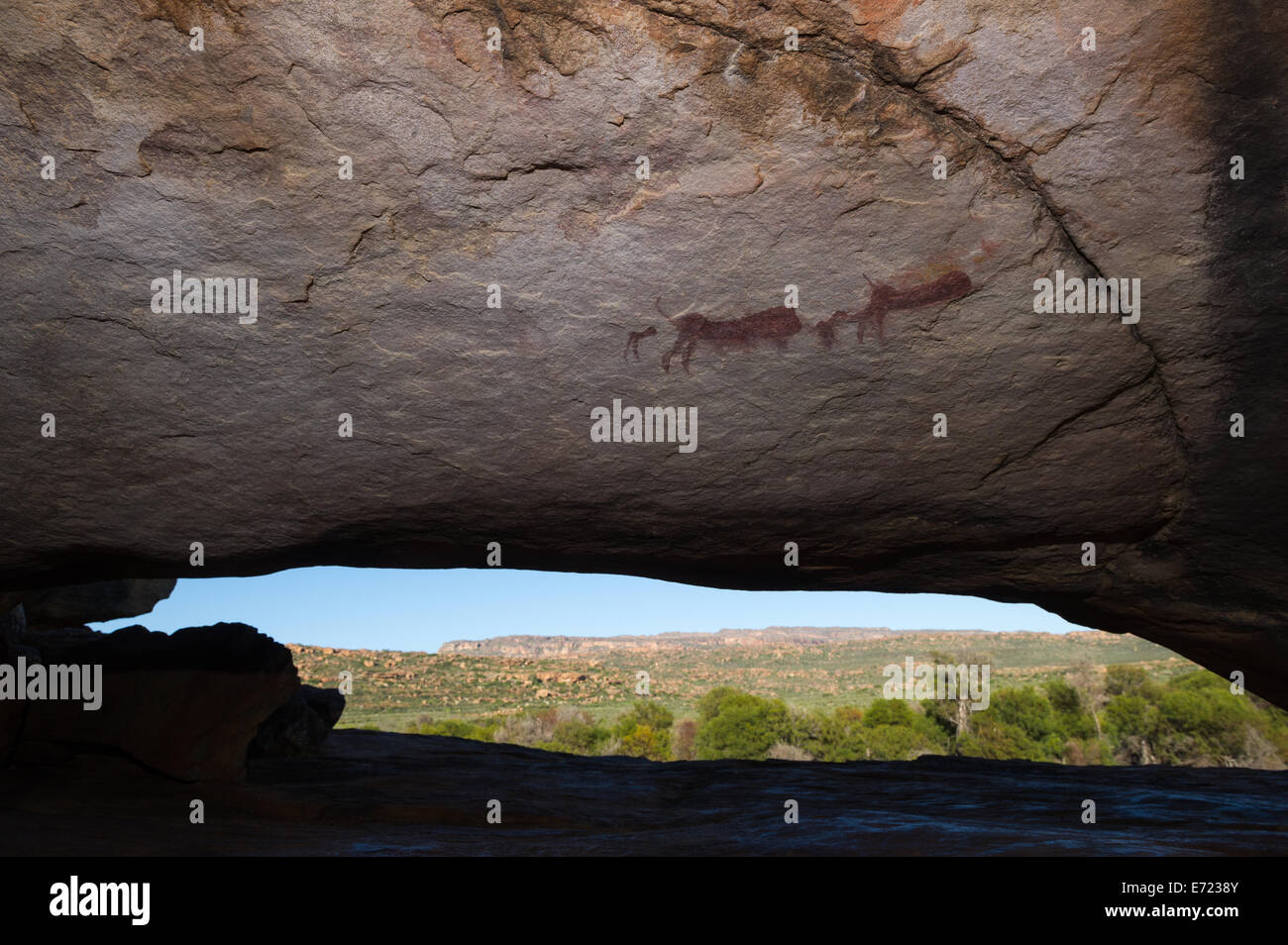 Sevilla Rock-art Trail, Cederberg Wilderness, Sud Africa Foto Stock