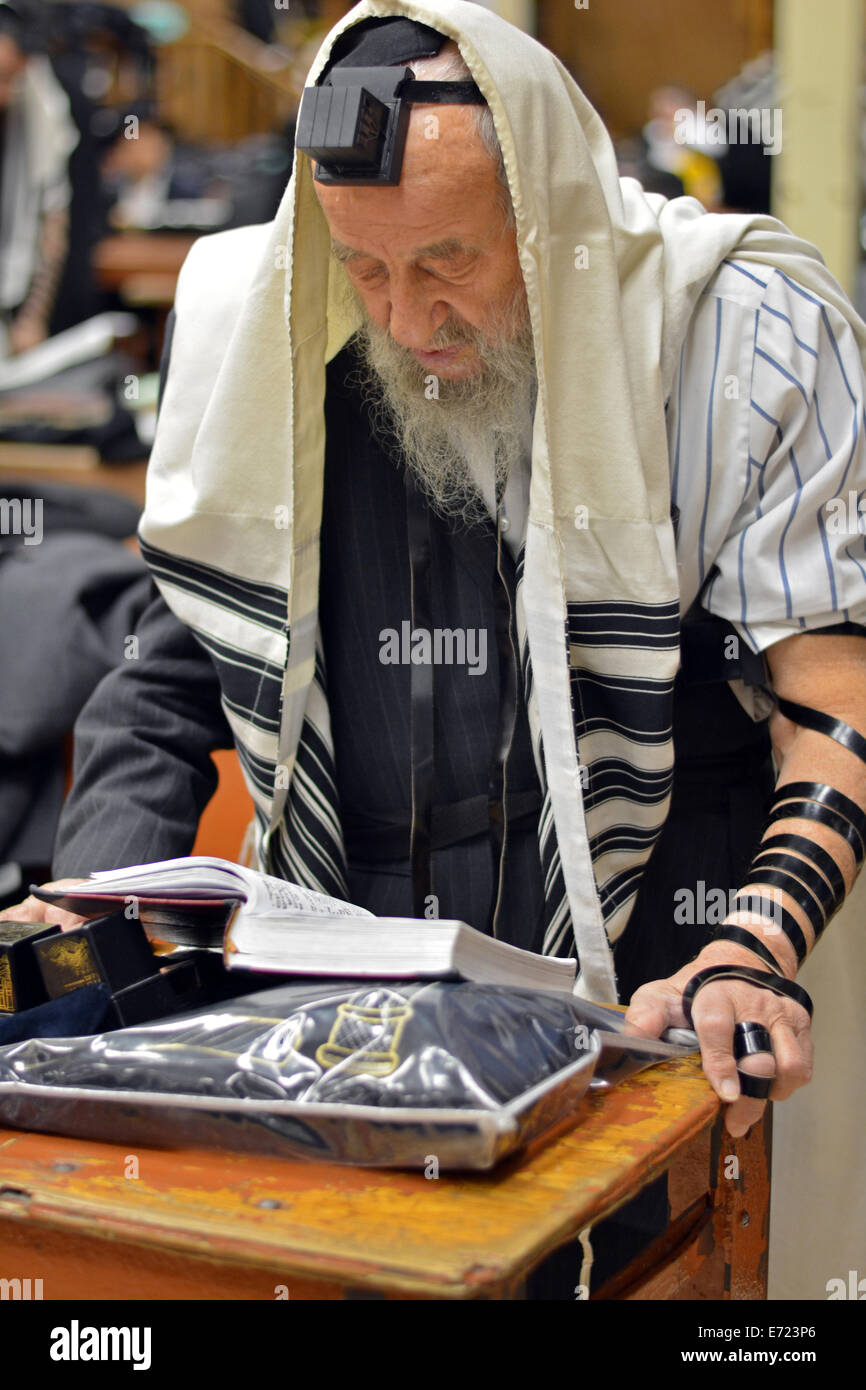 Religiosa ebraica uomo che prega indossando Tefillin, phylacteries e una preghiera  scialle in una sinagoga a Brooklyn, New York Foto stock - Alamy