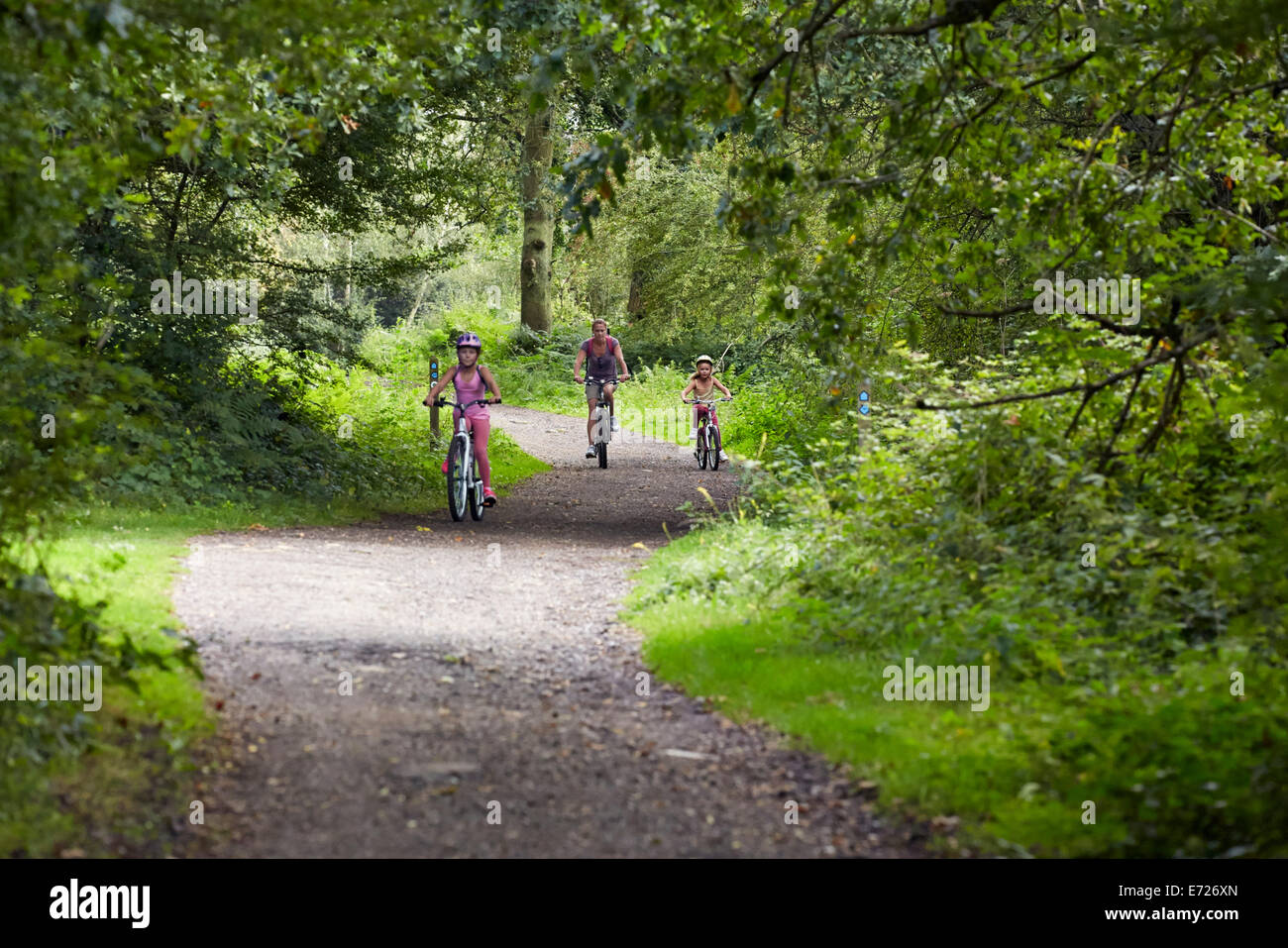 La madre e le figlie ciclismo su bridleway. Bookham comune. Surrey, Inghilterra. Foto Stock