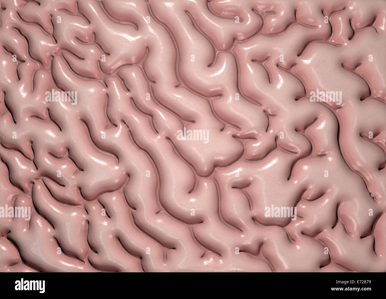 Un close-up texture regolare di tessuto cerebrale umano Foto Stock