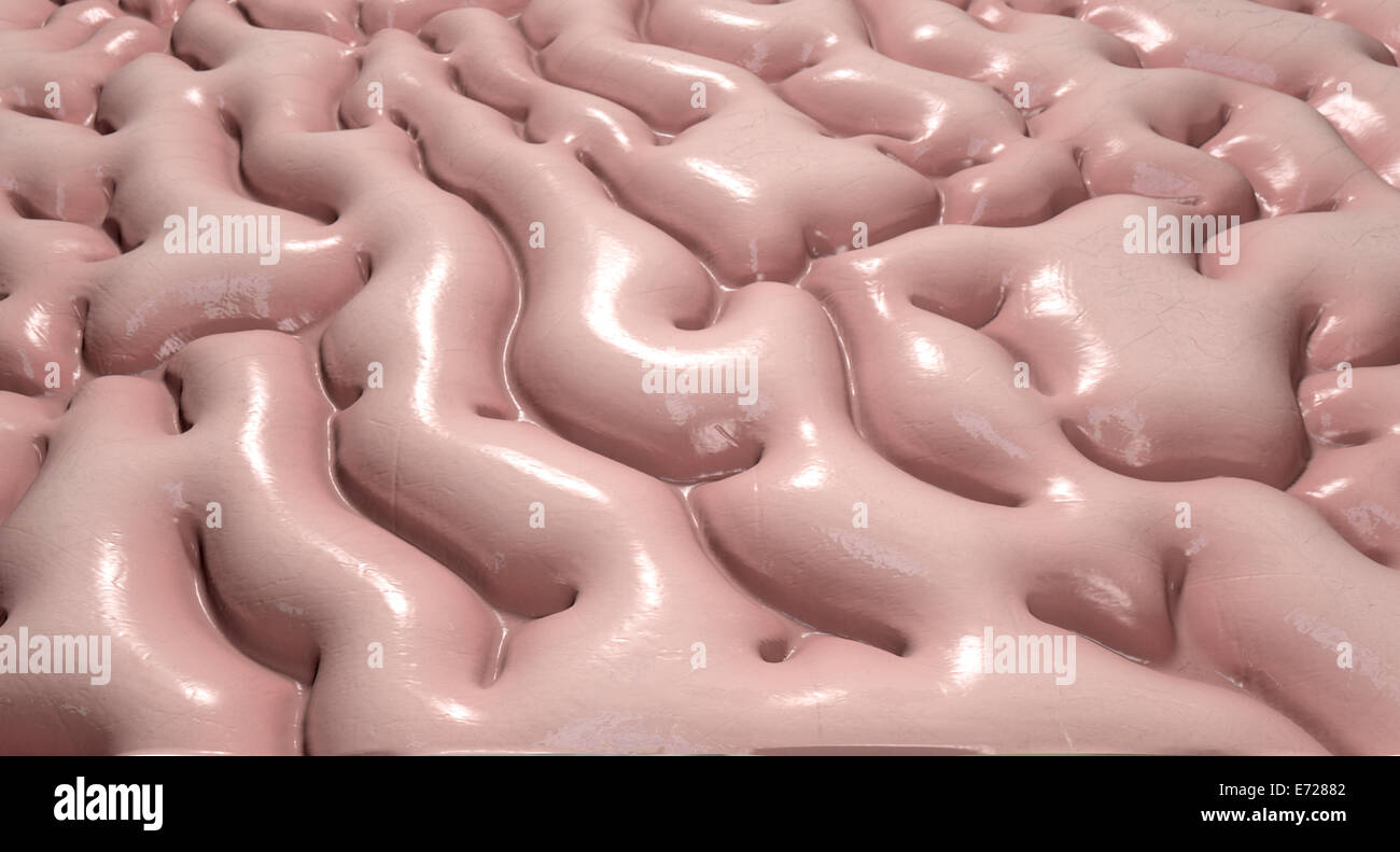 Un close-up texture regolare di tessuto cerebrale umano Foto Stock