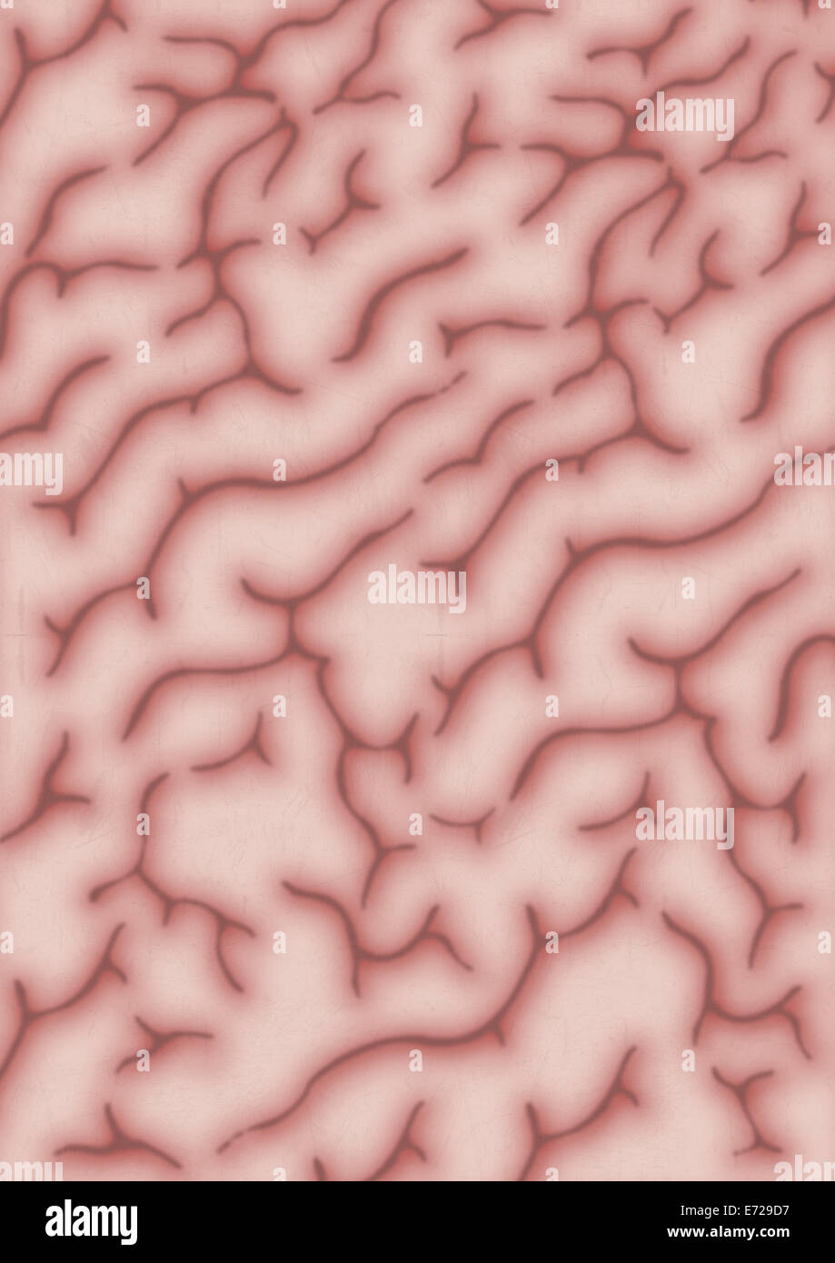 Un close-up texture regolare di tessuto cerebrale umano Foto Stock