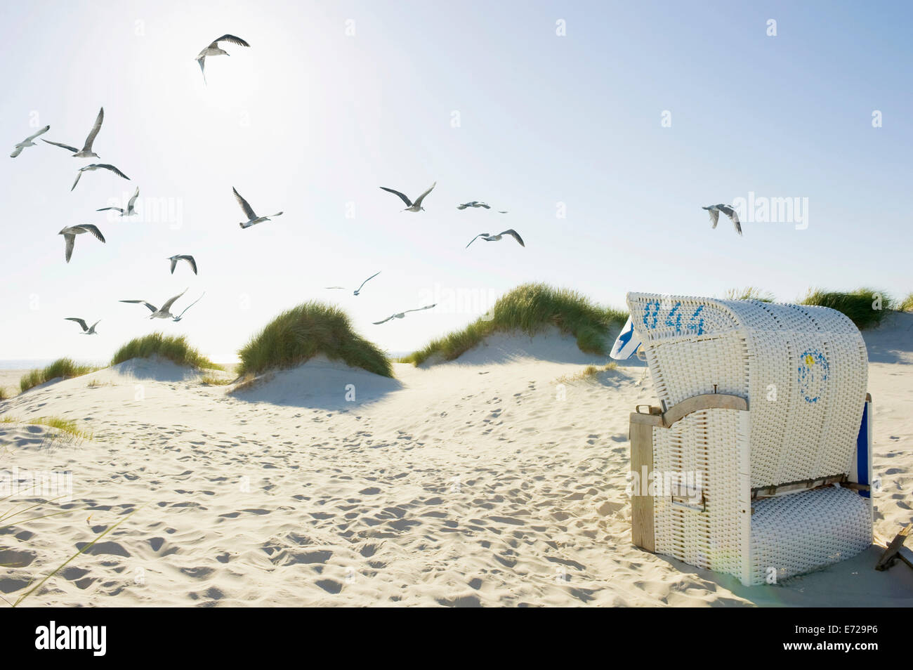 Sedia spiaggia di dune di sabbia con i gabbiani in volo, vicino Wyk, Föhr, Nord Isole Frisone, Schleswig-Holstein, Germania Foto Stock