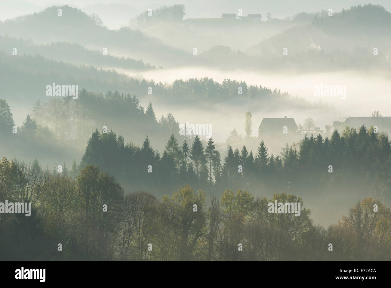 Mattina nebbia su colline boscose, Eichberg-Trautenburg, Stiria, Austria Foto Stock