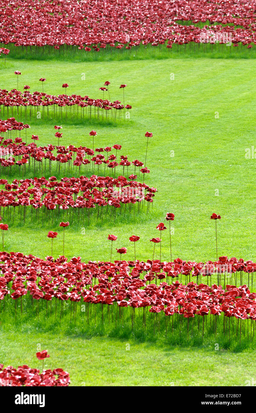 Torre di Londra Poppy Papaveri sangue Sweep Terre e mari di Rosso UK Fotografia
