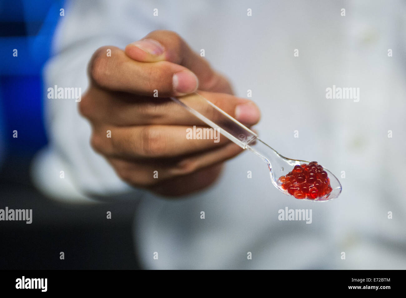 Londra, Regno Unito. 4 Sep, 2014. Commestibile 3D rasberry stampato stampato dalla coda di rondine utilizzando un molecolare-gastronomia tecnica chiamata spherification è sul display in 3D Printshow presso la Old Billingsgate a Londra. 3D Printshow riunisce i più grandi nomi in 3D della tecnologia di stampa a fianco dei più creativi, entusiasmanti e innovativi di individui che utilizzano processi additivi oggi. Credito: Piero Cruciatti/Alamy Live News Foto Stock