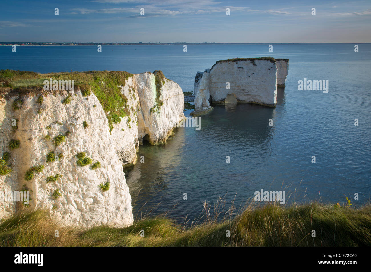Alba presso le bianche scogliere e rocce di Harry a Studland, Isle of Purbeck, Jurassic Coast, Dorset, Inghilterra Foto Stock