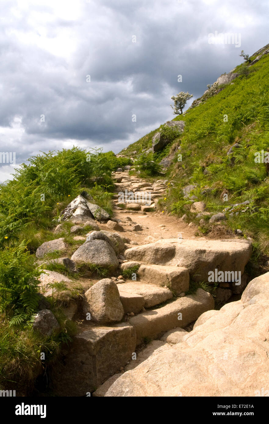 Vista di alcuni dei massi che compongono il sentiero come si inizia la scalata del Ben Nevis in Scozia. Foto Stock