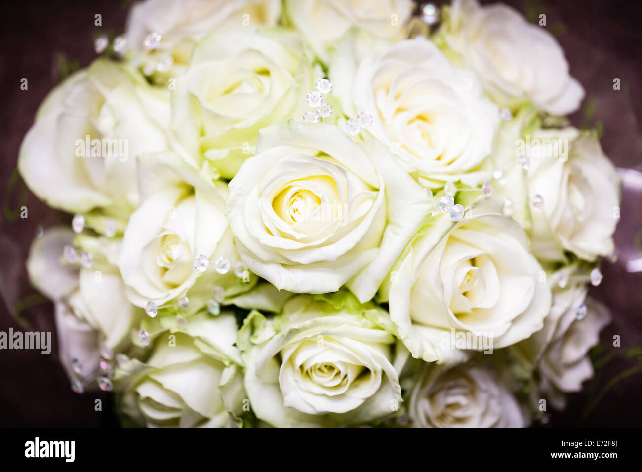 Bridal Bouquet Rose Bianche con riflessi verdognoli e bagliori Foto Stock