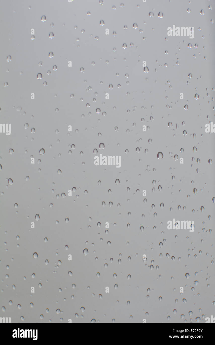 Le goccioline di acqua su un vetro con sfondo grigio Foto Stock