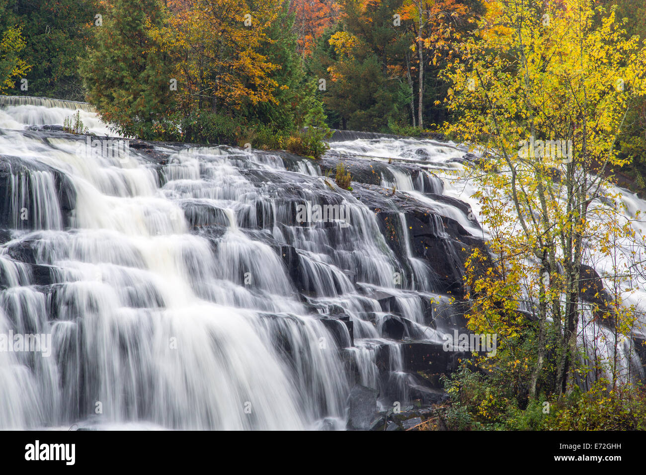 Bond cade in autunno nei pressi di Paulding, Michigan, Stati Uniti d'America. Foto Stock