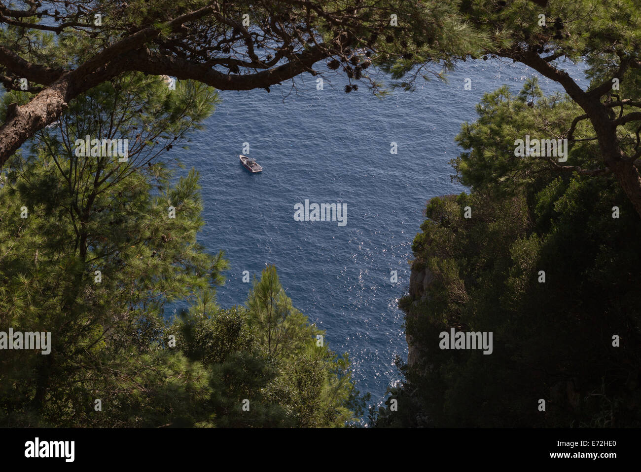 Cerca tra due grandi alberi a sbalzo in corrispondenza di una piccola barca ad ancorare nel mare Mediterraneo appena dell'isola italiana di Capri Foto Stock