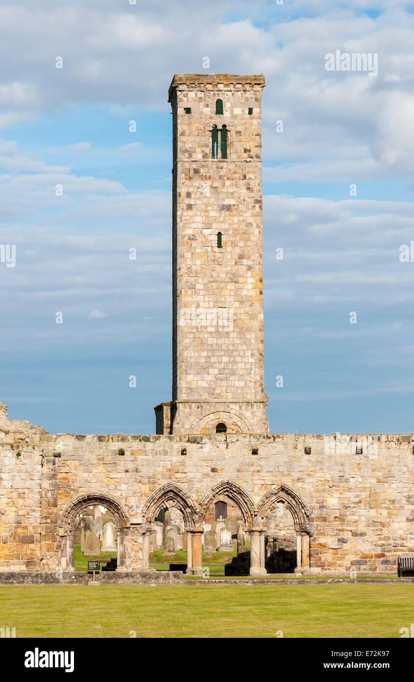 St regola Tower, St Andrews Cathedral, Scotland, Regno Unito Foto Stock