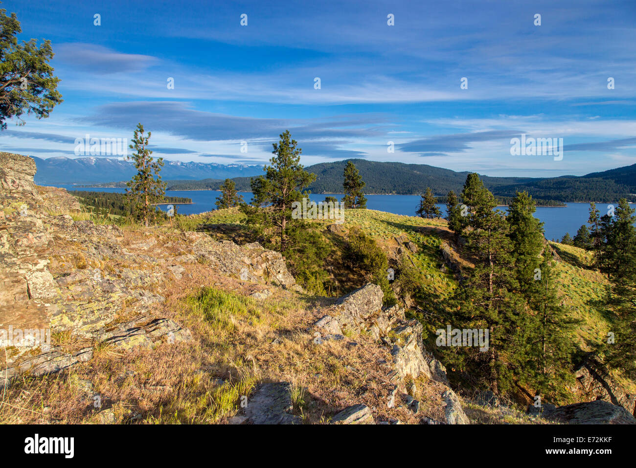 Vista panoramica del Lago Flathead con arrowleaf balsamroot fiori selvaggi sul cavallo selvaggio Island State Park, Montana, USA. Foto Stock