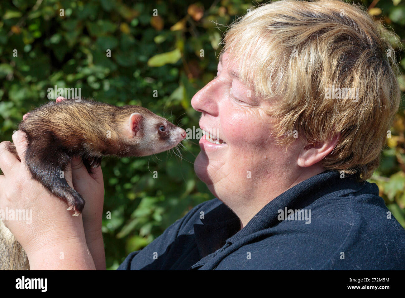 Donna che mantiene il suo animale domestico ferret, Country Fair, Glasgow, Scozia Foto Stock