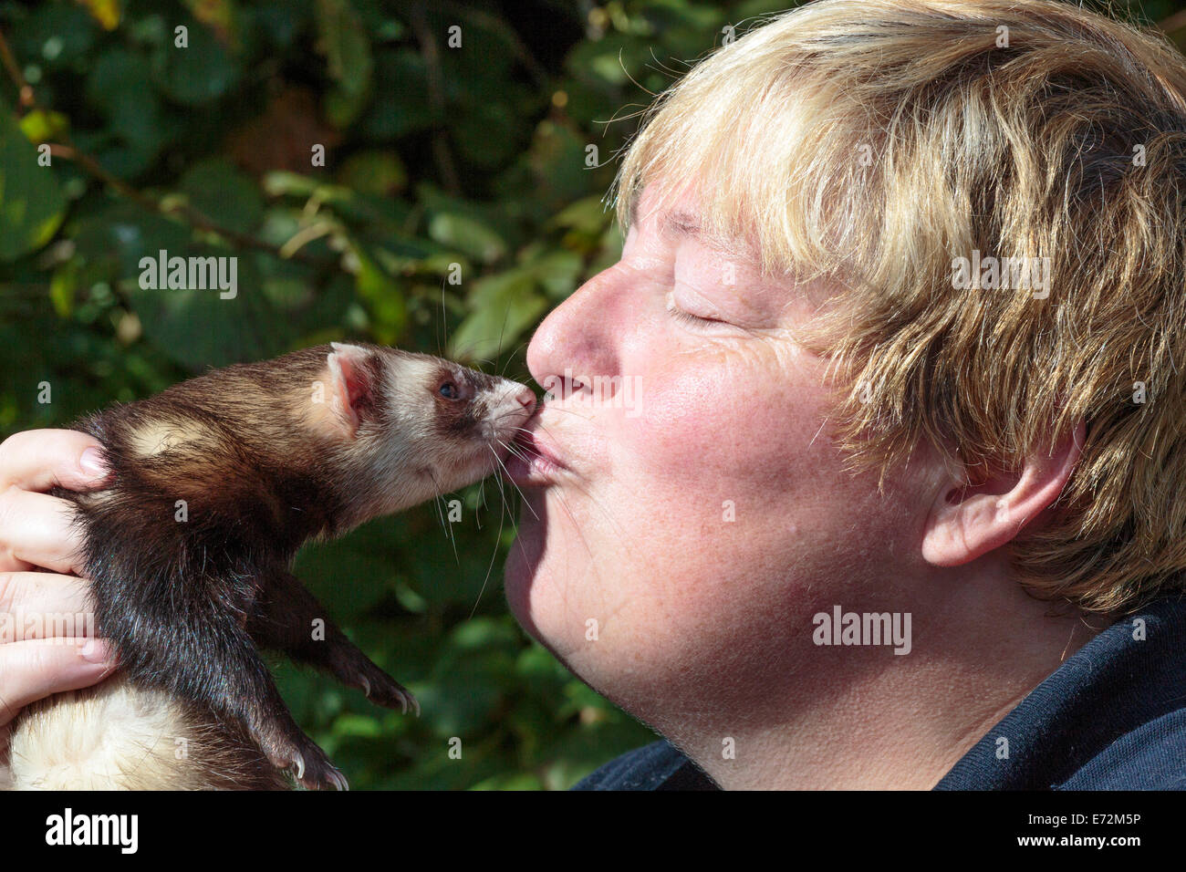 Donna che mantiene il suo animale domestico ferret, Country Fair, Glasgow, Scozia Foto Stock