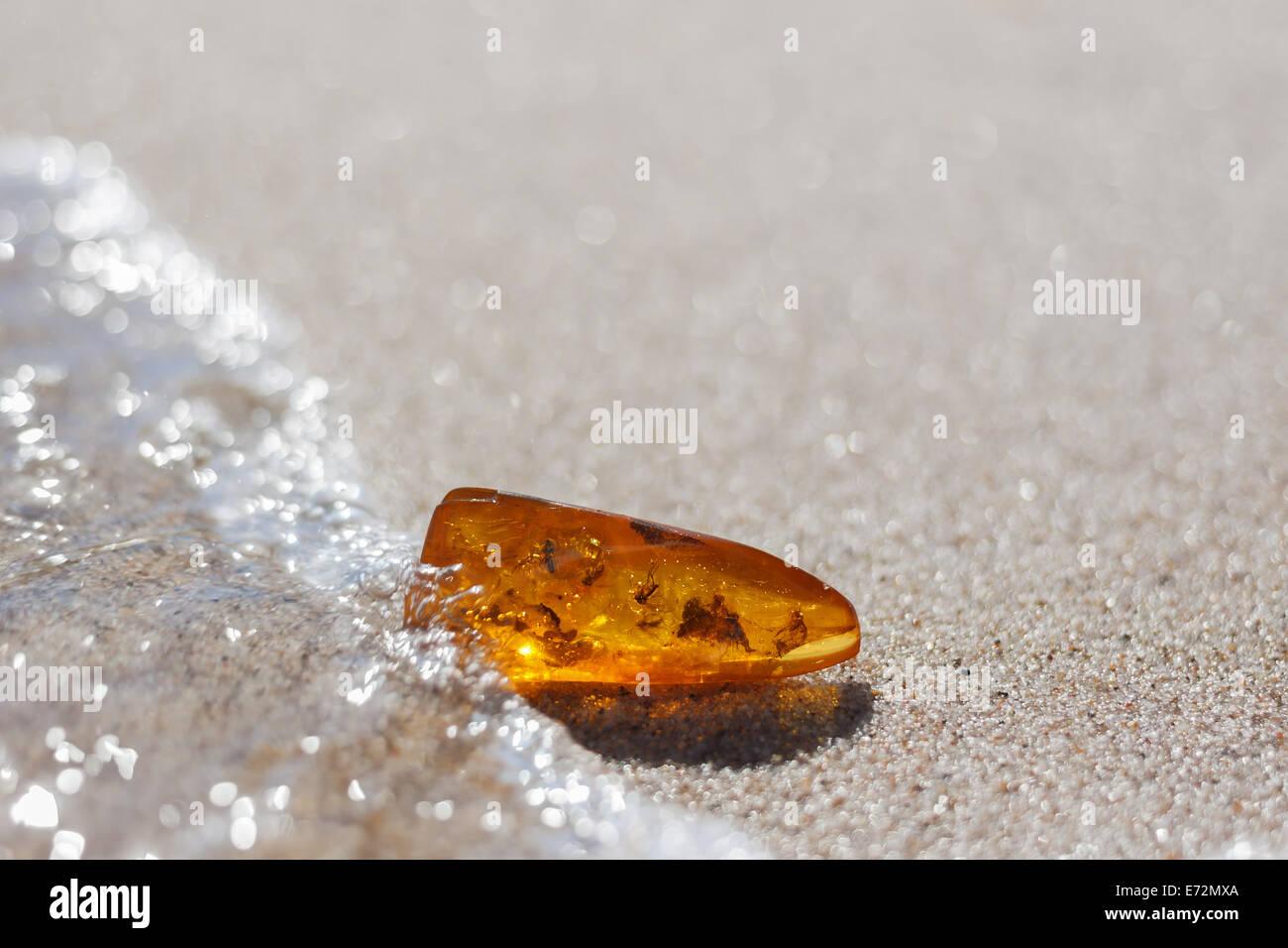Pietra di color ambra con inclusione di insetto sulla sabbia al litorale del mar Baltico Foto Stock
