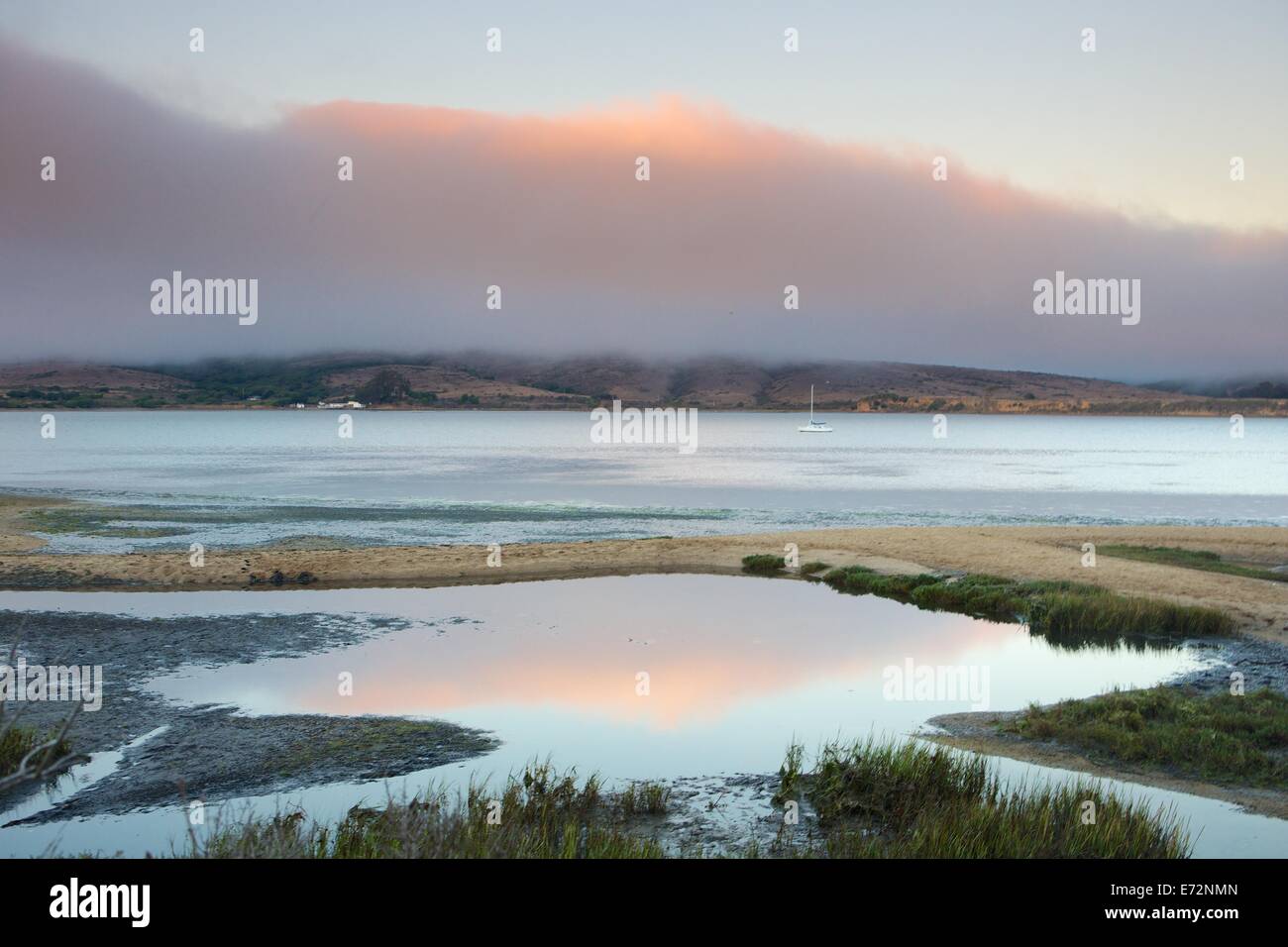 Paludi umide in Tomales Bay di Point Reyes National Seashore, Marin County, California. Foto Stock