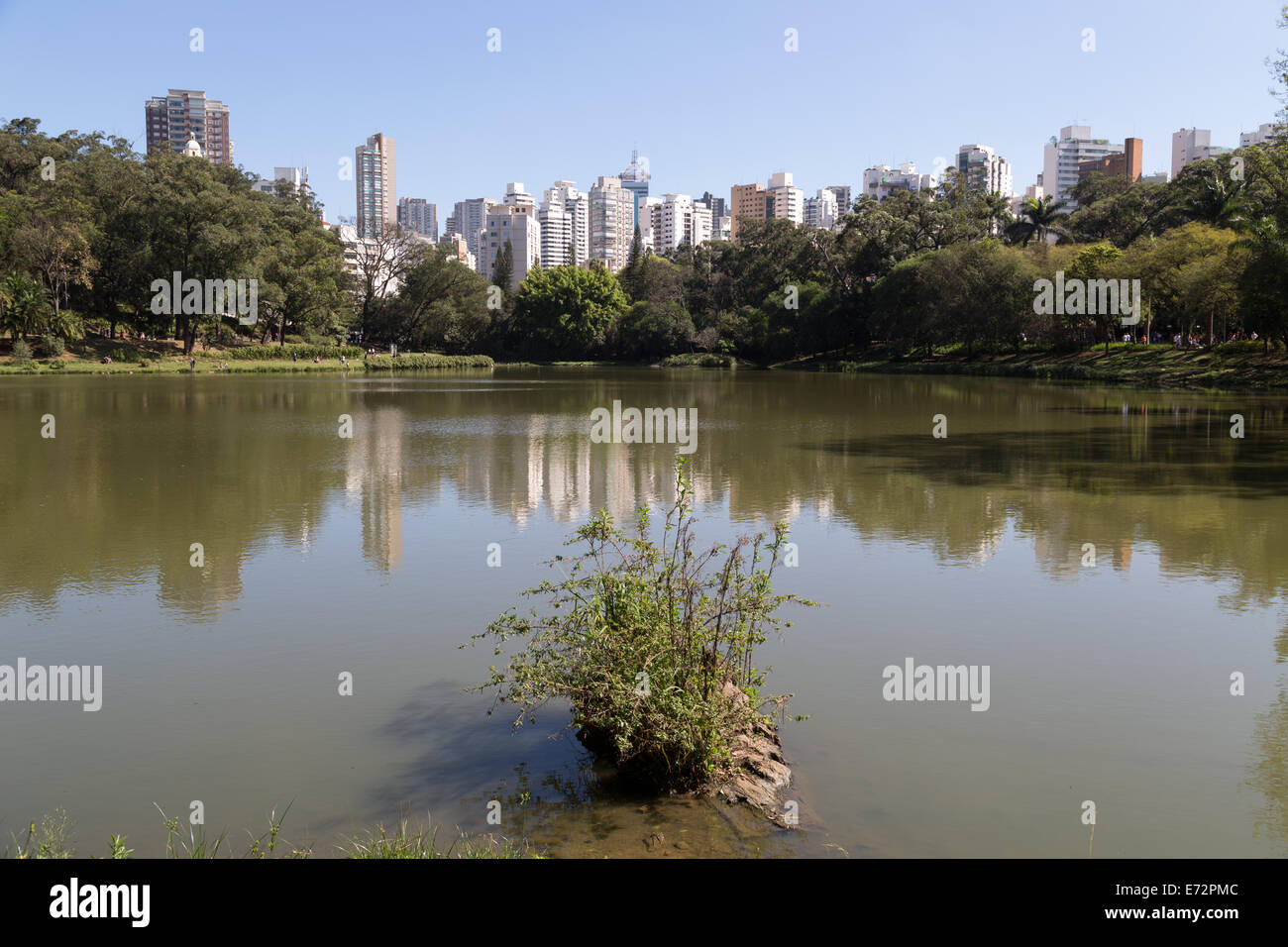 Parque da Aclimacao, uno dei più belli e famosi parchi nel centro di Sao Paulo, Brasile Foto Stock