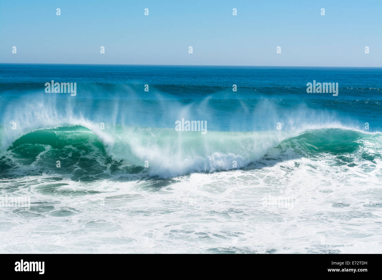 Una bella e potente onda turchese in venti alti riccioli mentre bianco spray nebulizzato forme e a sua cresta in Huntington Beach. Foto Stock