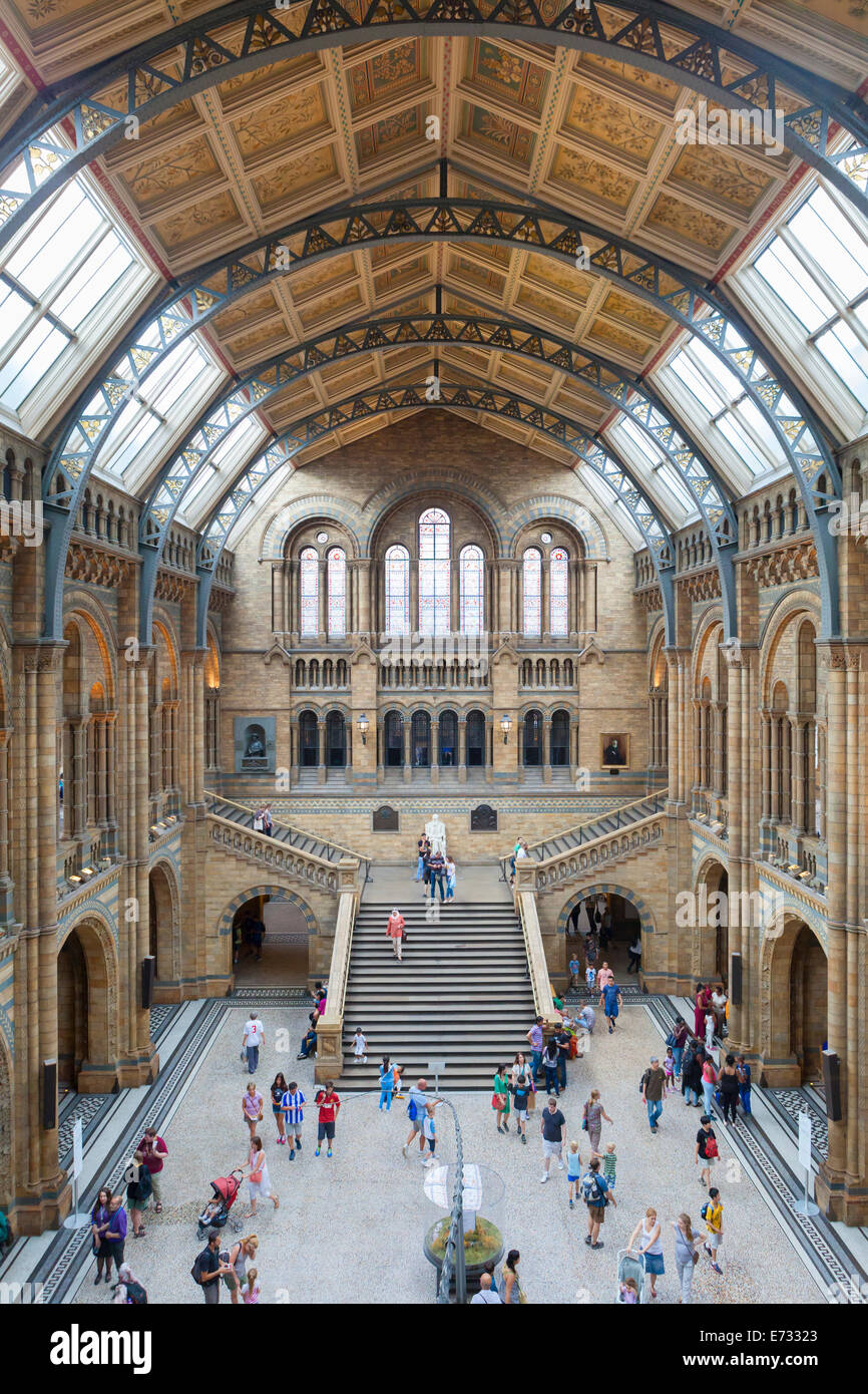 Grande hall del museo di storia naturale di Londra, Inghilterra Foto Stock