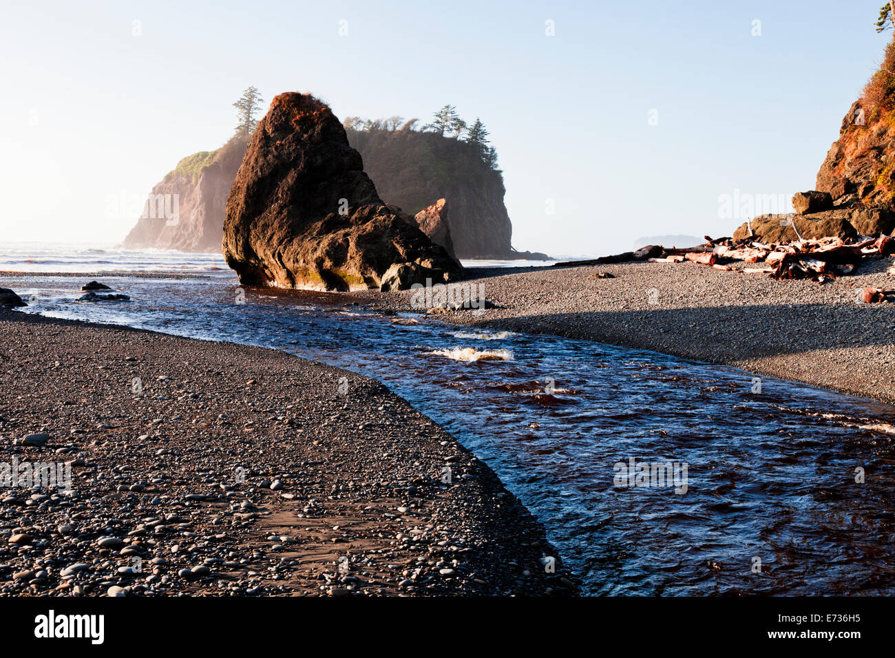 Pile di mare sulla spiaggia di Ruby nel Parco Nazionale di Olympic la sera presto, Stati Uniti di Washington Foto Stock