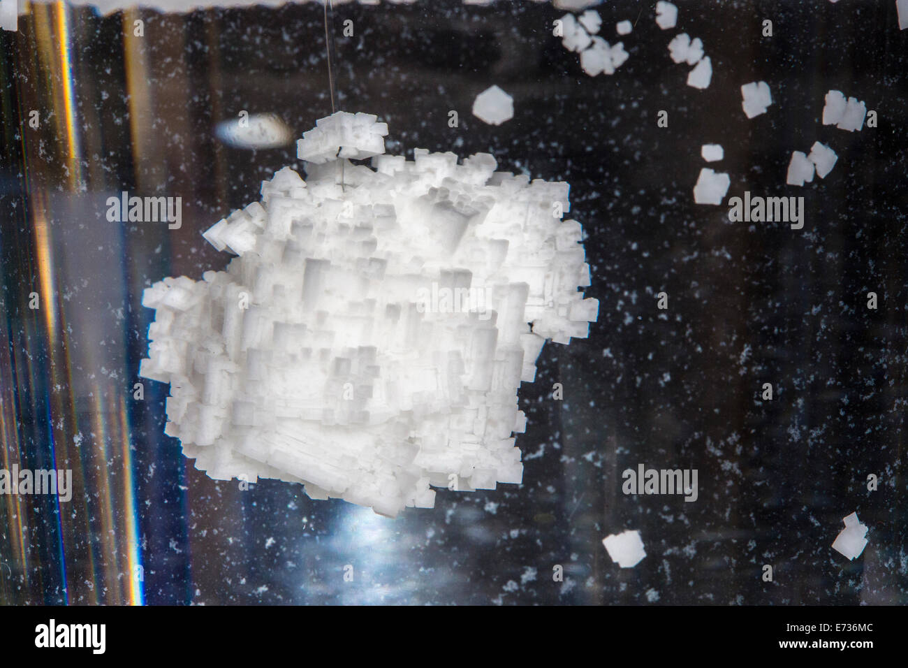 Un cristallo di sale su un pezzo di spago sono cresciuti come una scuola di scienza progetto illustrando la cristallizzazione Foto Stock