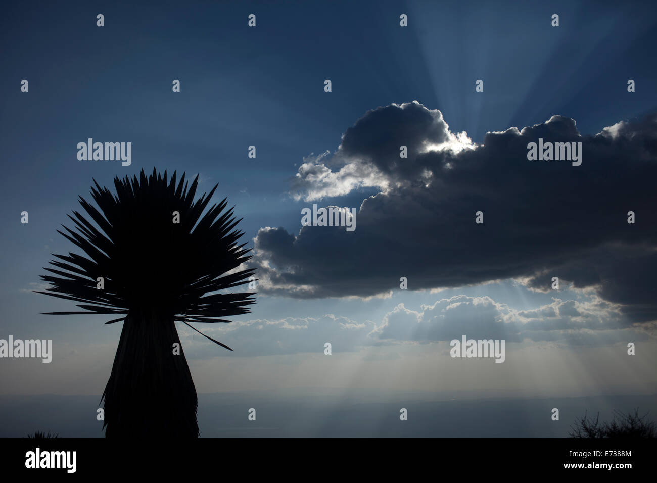 Il sole tramonta su Cerro Quemado montagna in Wirikuta, Real de Catorce, San Luis Potosi, Messico, 24 luglio 2014. Foto Stock