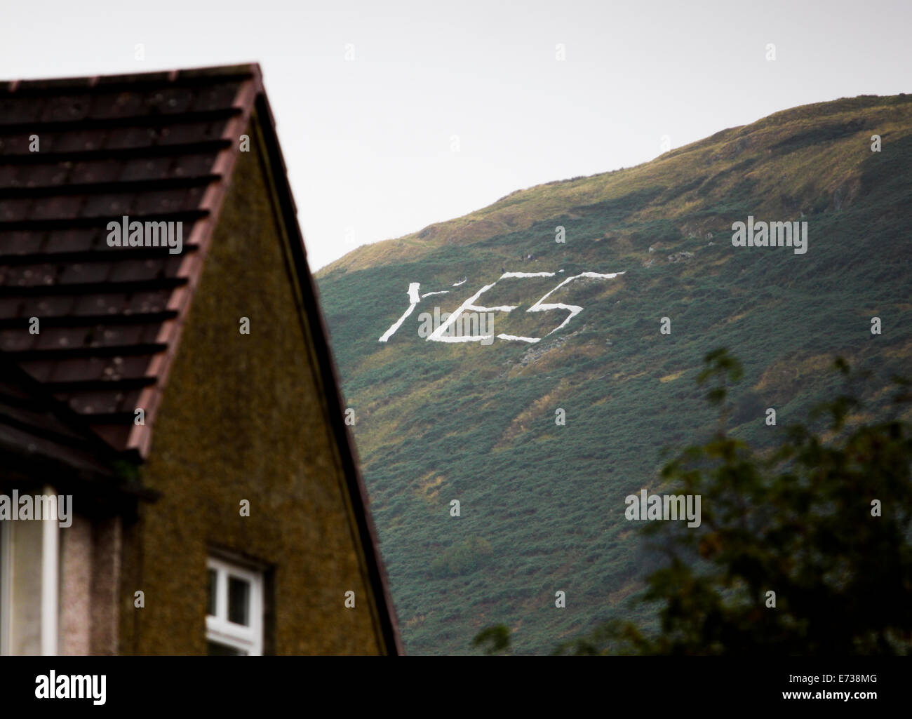 Manchester, Scotland, Regno Unito. 5 Settembre, 2014. Referendum scozzese. Sì gli attivisti di lay out sì gigante fatta di fogli sulla faccia di Campsie Fells che si affaccia a nord di Glasgow. Credito: ALAN OLIVER/Alamy Live News Foto Stock