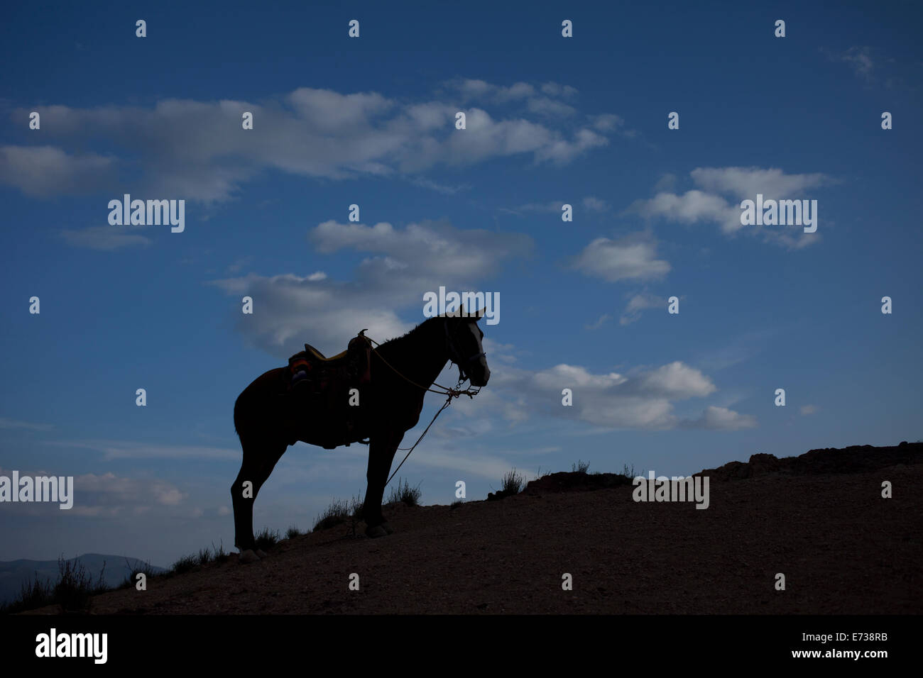 La silhouette di un cavallo in Cerro Quemado montagna in Wirikuta, Real de Catorce, San Luis Potosi, Messico, 24 luglio 2014. Il wi Foto Stock