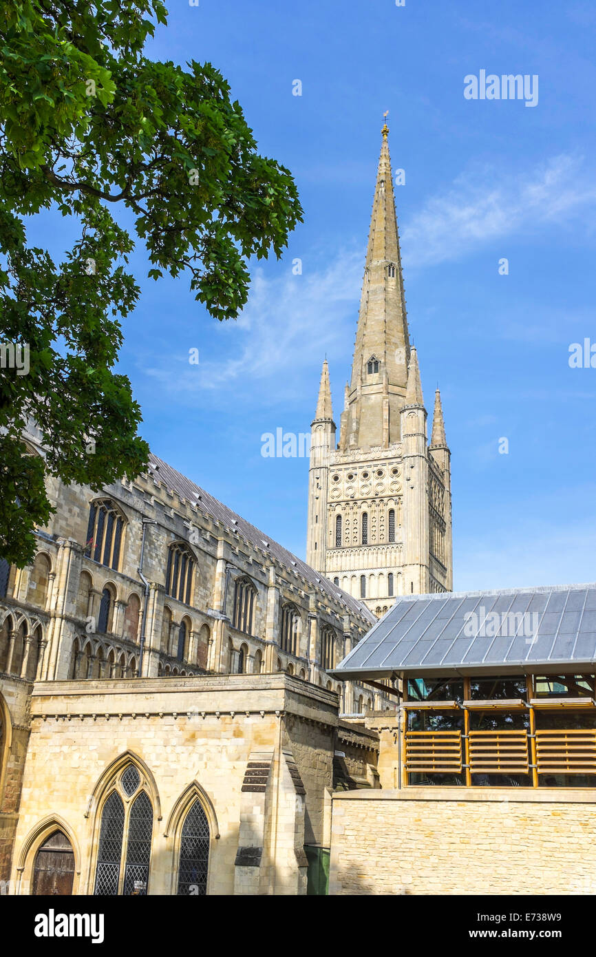 Norwich Cathedral e Norwich, Regno Unito, Europa Foto Stock