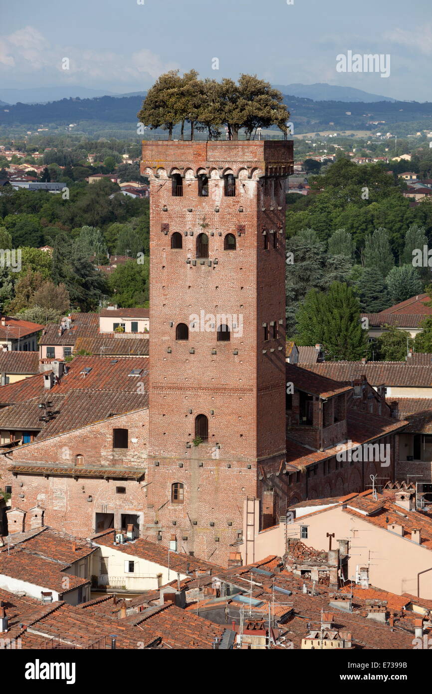 Torre Guinigi sormontata da Holm Oak tree, Lucca, Toscana, Italia, Europa Foto Stock