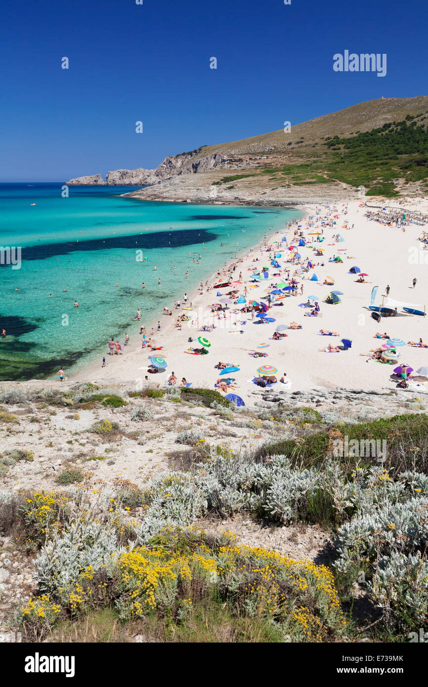La spiaggia e la baia di Cala Mesquita, Capdepera, Maiorca (Mallorca), isole Baleari (Islas Baleares), Spagna, Mediterraneo, Europa Foto Stock