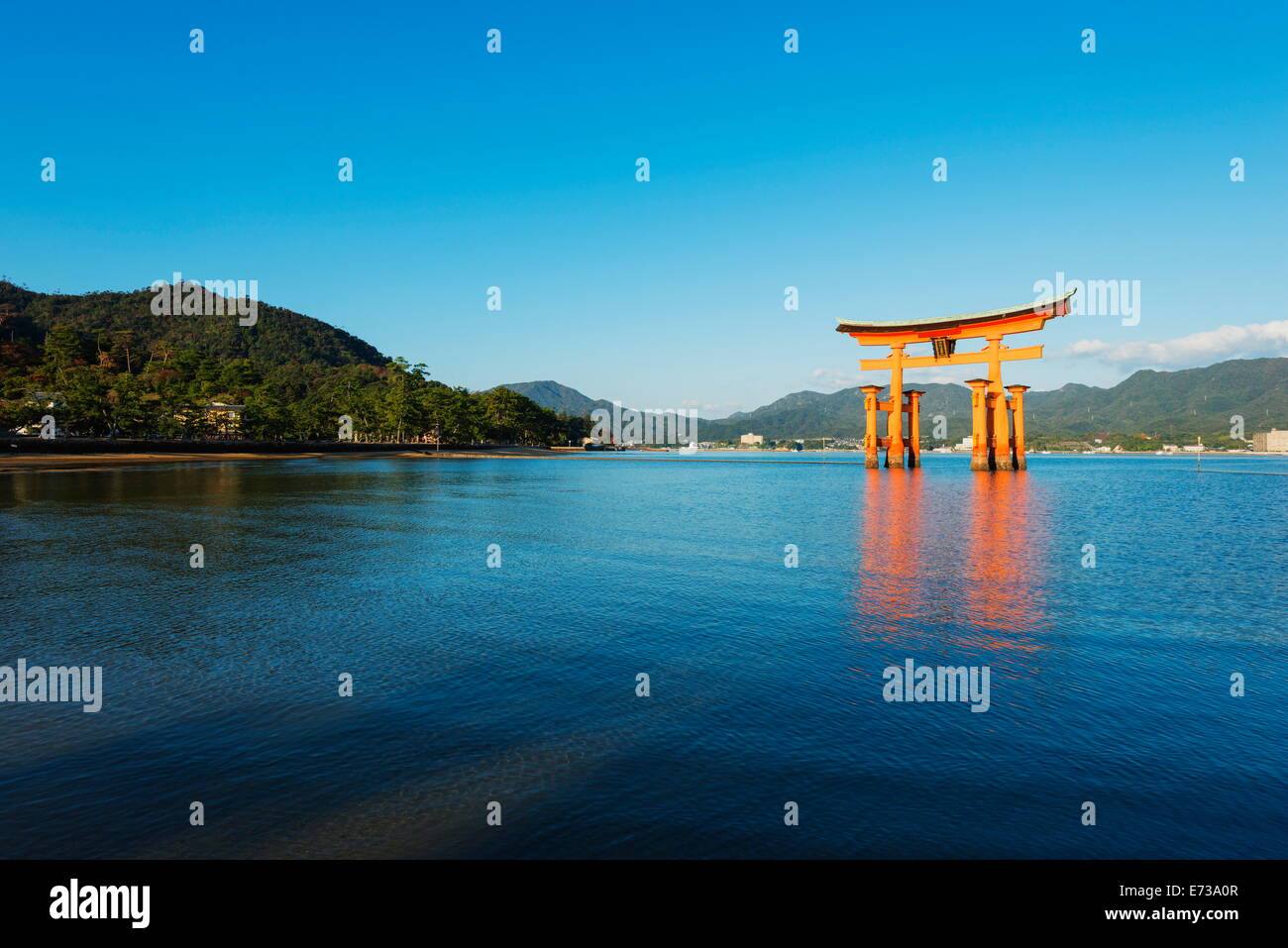 Torii gate di Itsukushima jinja sacrario scintoista, sito UNESCO, l'isola di Miyajima, Prefettura di Hiroshima, Honshu, Giappone, Asia Foto Stock