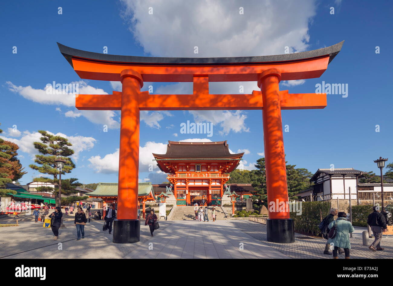 Torii gate a Fushimi Inari Jinja, sacrario scintoista, Sito Patrimonio Mondiale dell'UNESCO, Kyoto, Honshu, Giappone, Asia Foto Stock